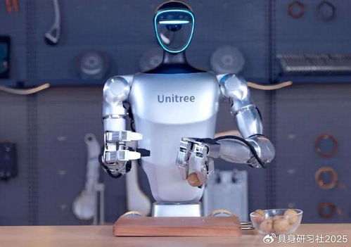 人形機(jī)器人廠商迎來精打細(xì)算時代 在科技變革中求生存與發(fā)展